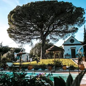 https://soul-casas.es-andalucia.com